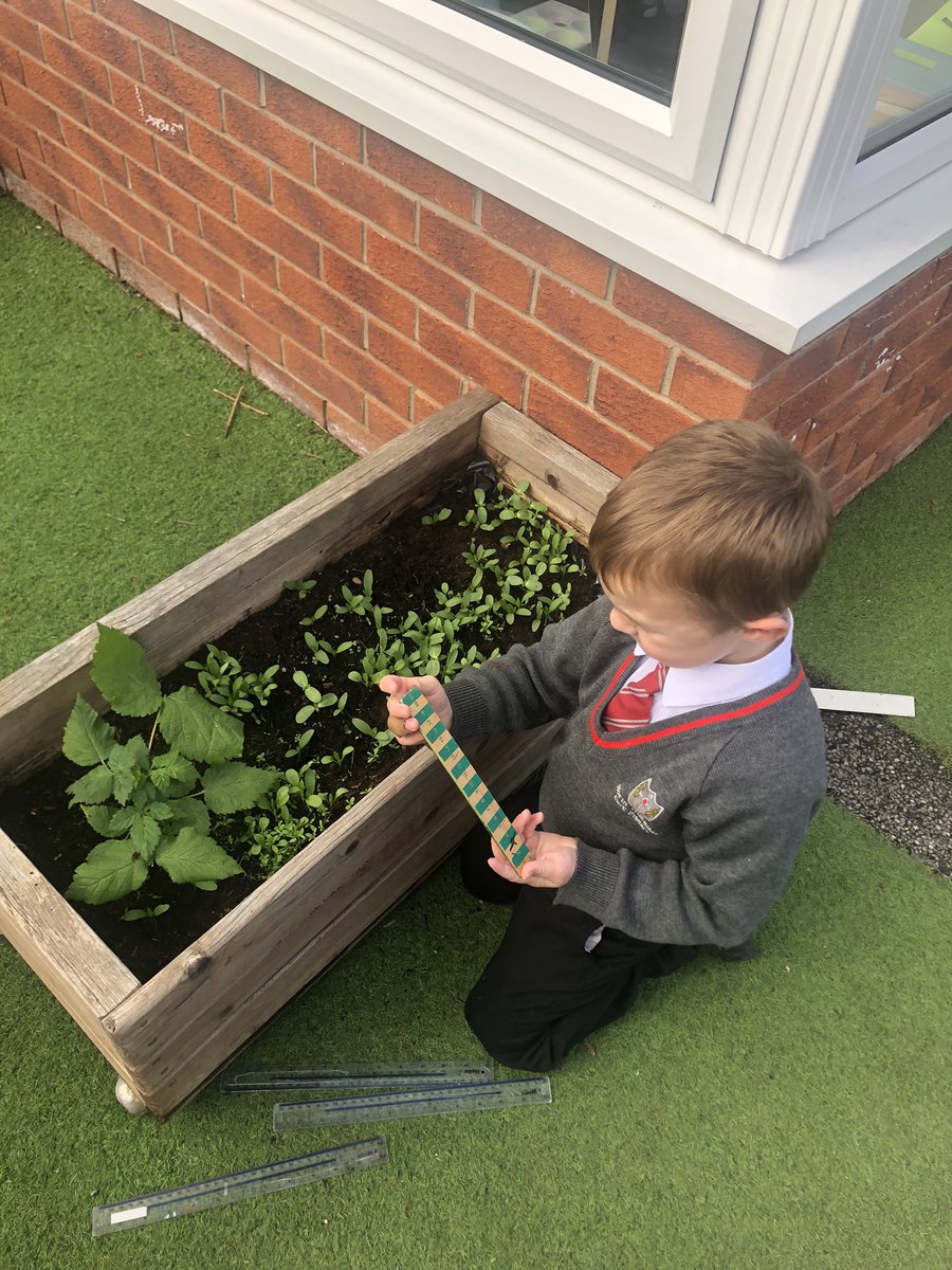 NorthWheatleyDiamondClass tweet media