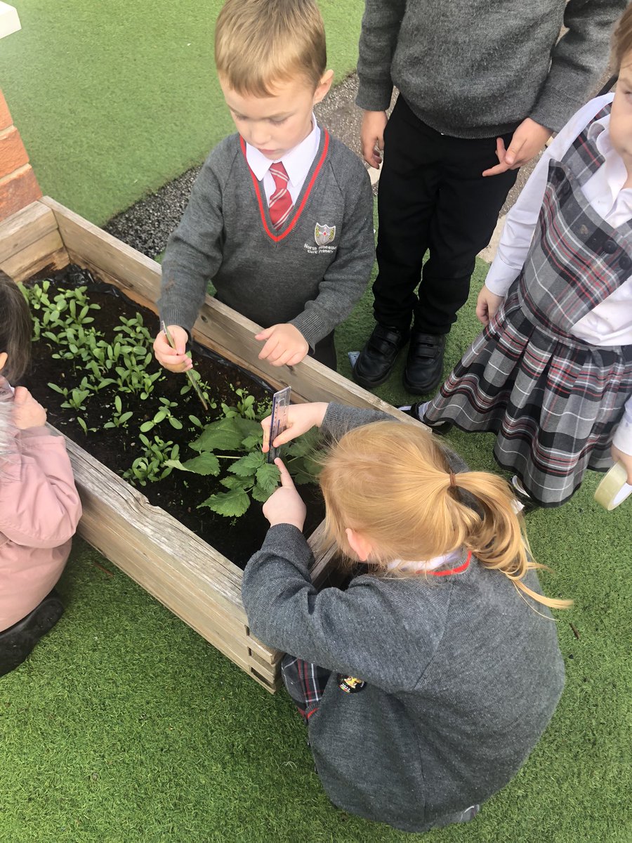 NorthWheatleyDiamondClass tweet media