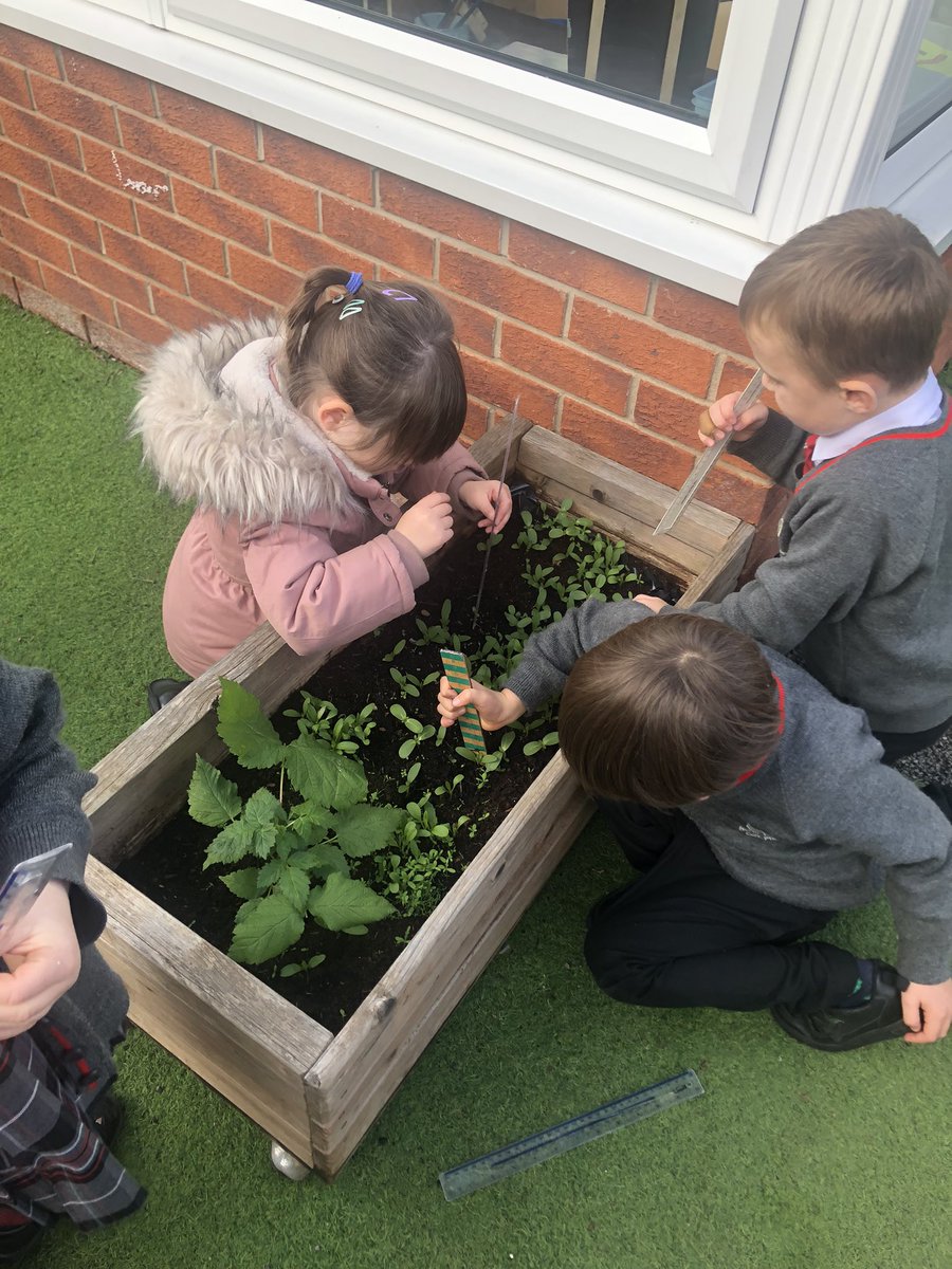 NorthWheatleyDiamondClass tweet media