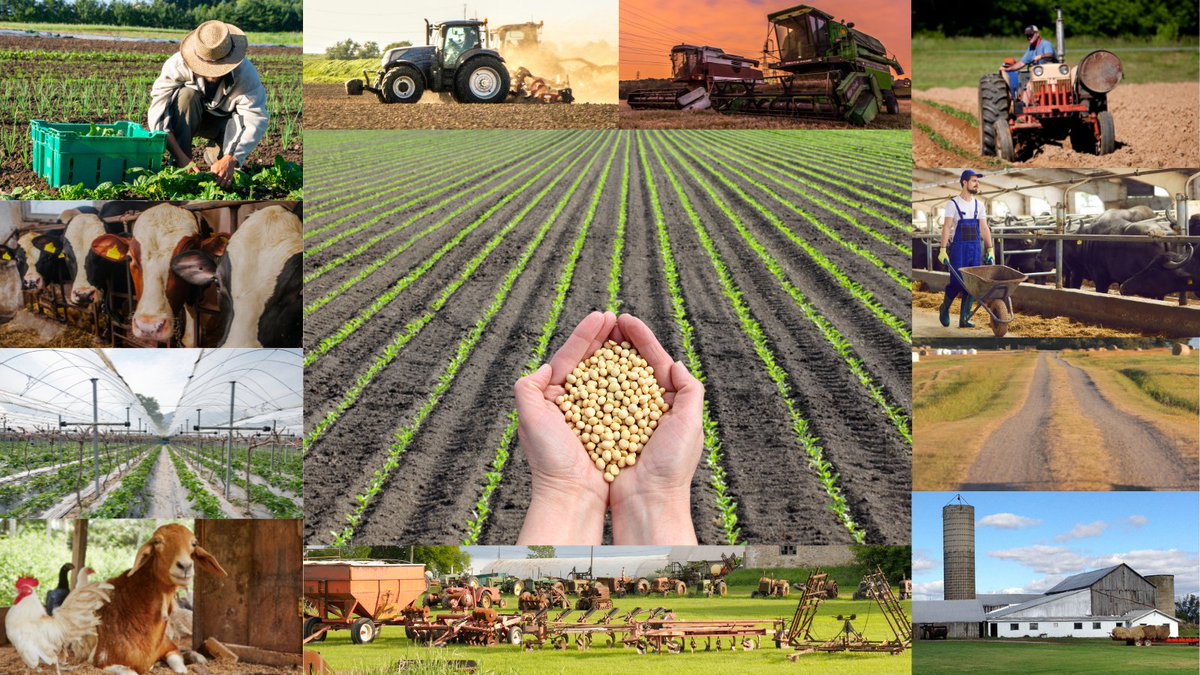 smecommunity's tweet photo. You've probably heard that if it can't be grown, it was mined. Have you thought about what goes into the processes of bringing food to your table? Did you know even the food you eat wouldn't be the same without mining? #WhyMiningMatters #Mining https://t.co/lhc5ihzoZC