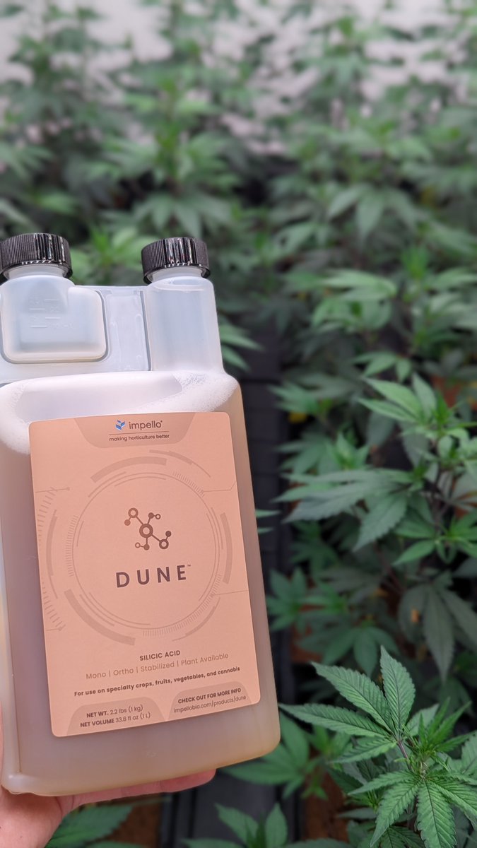 Impello Biosciences tweet media