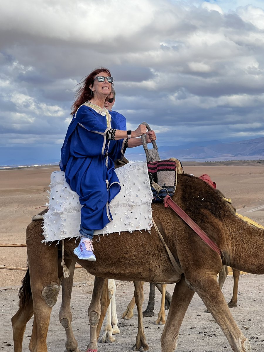 Sheila McGee-Smith tweet media