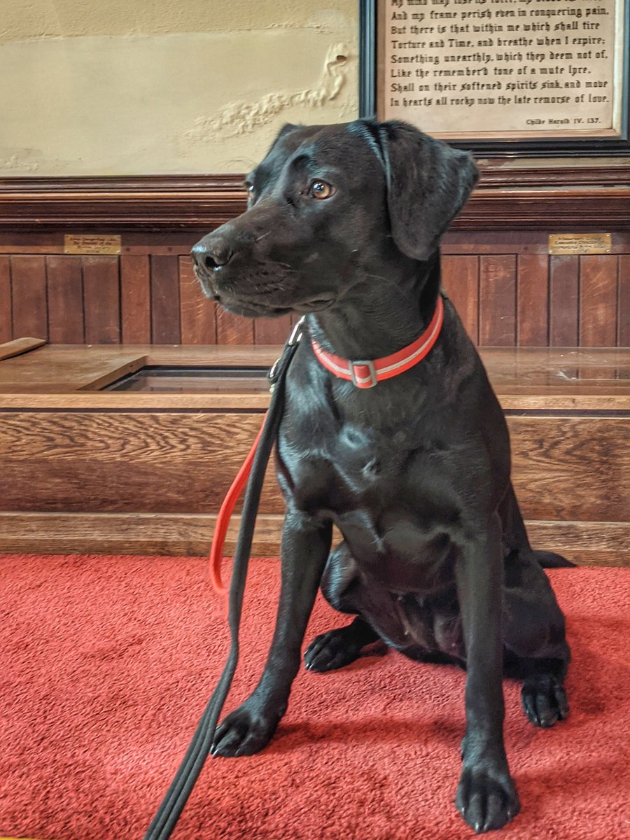 Happy #AdaLovelaceDay22 #AdaLovelaceDay
Puppy Ada paying her respects at Ada's burial place in the Church of St Mary Magdalene