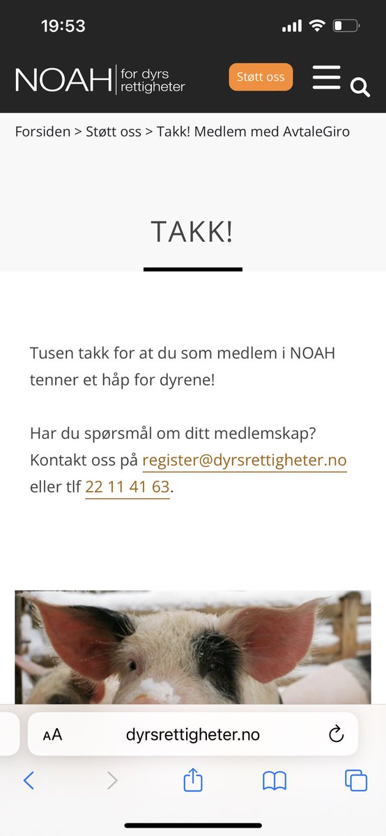 Petter N. Toldnæs tweet media