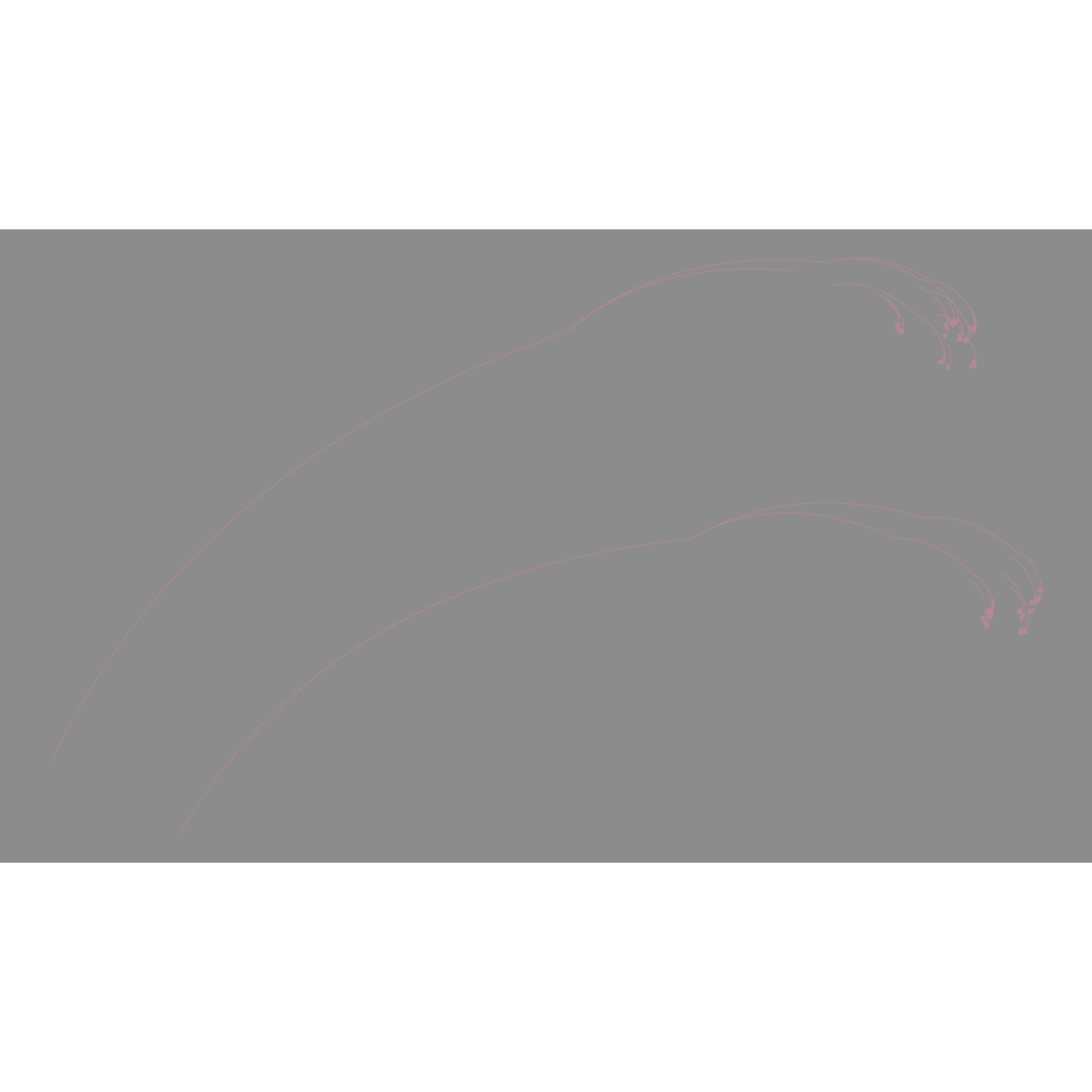 Painting in Randomness (chinese_paint) / Twitter