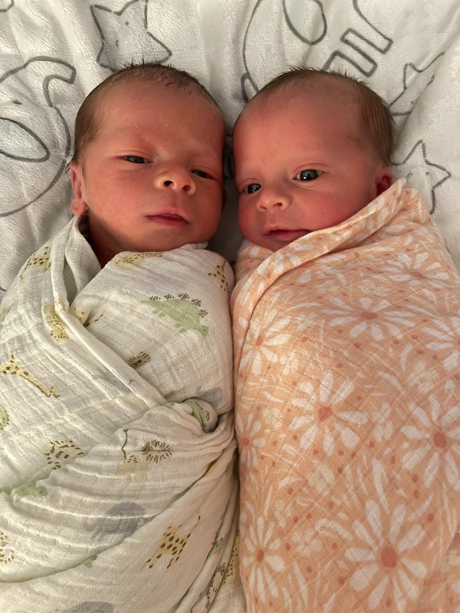 haybellllll's tweet photo. hey twitter i gave birth to the cutest twins ever 🤍 https://t.co/bpeNI8lW3J