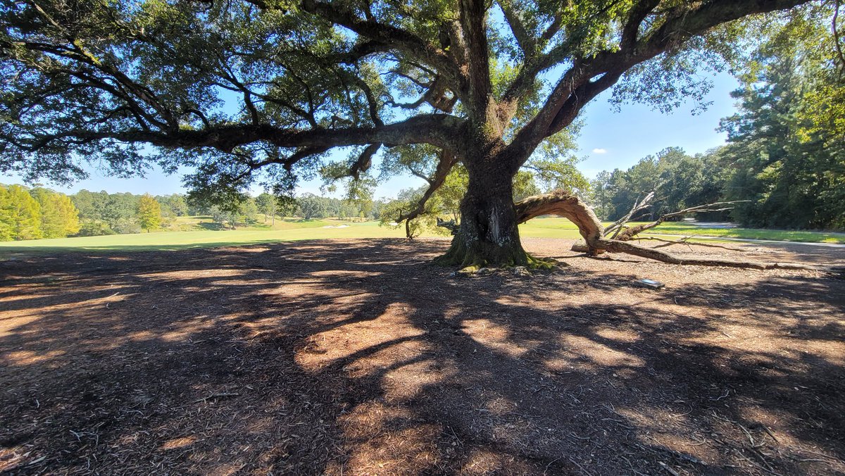 Ihatelightblue's tweet photo. Nothing I like better than a nice scenic round of golf! #fallenoak #beau https://t.co/ckv9QIE4hs