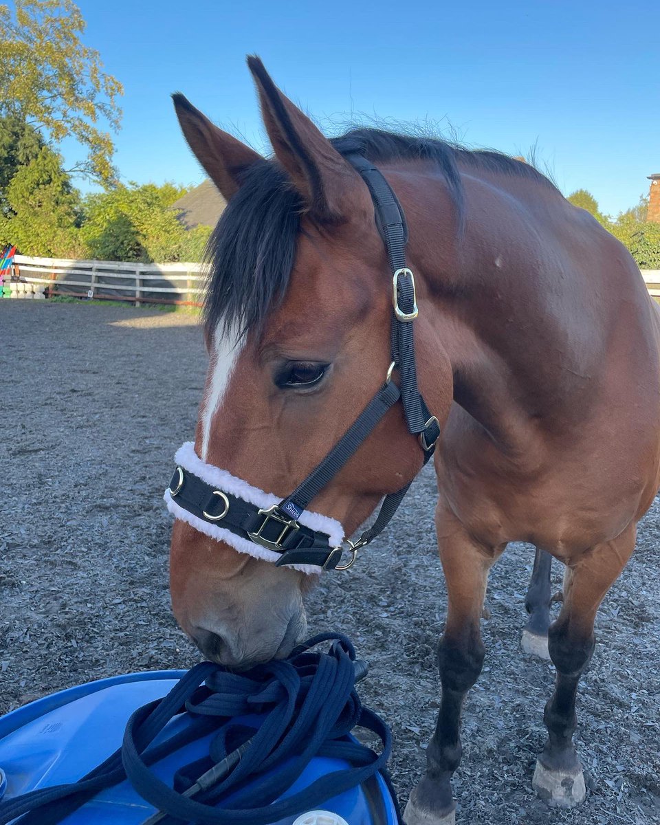 Samantha Coldbeck tweet media