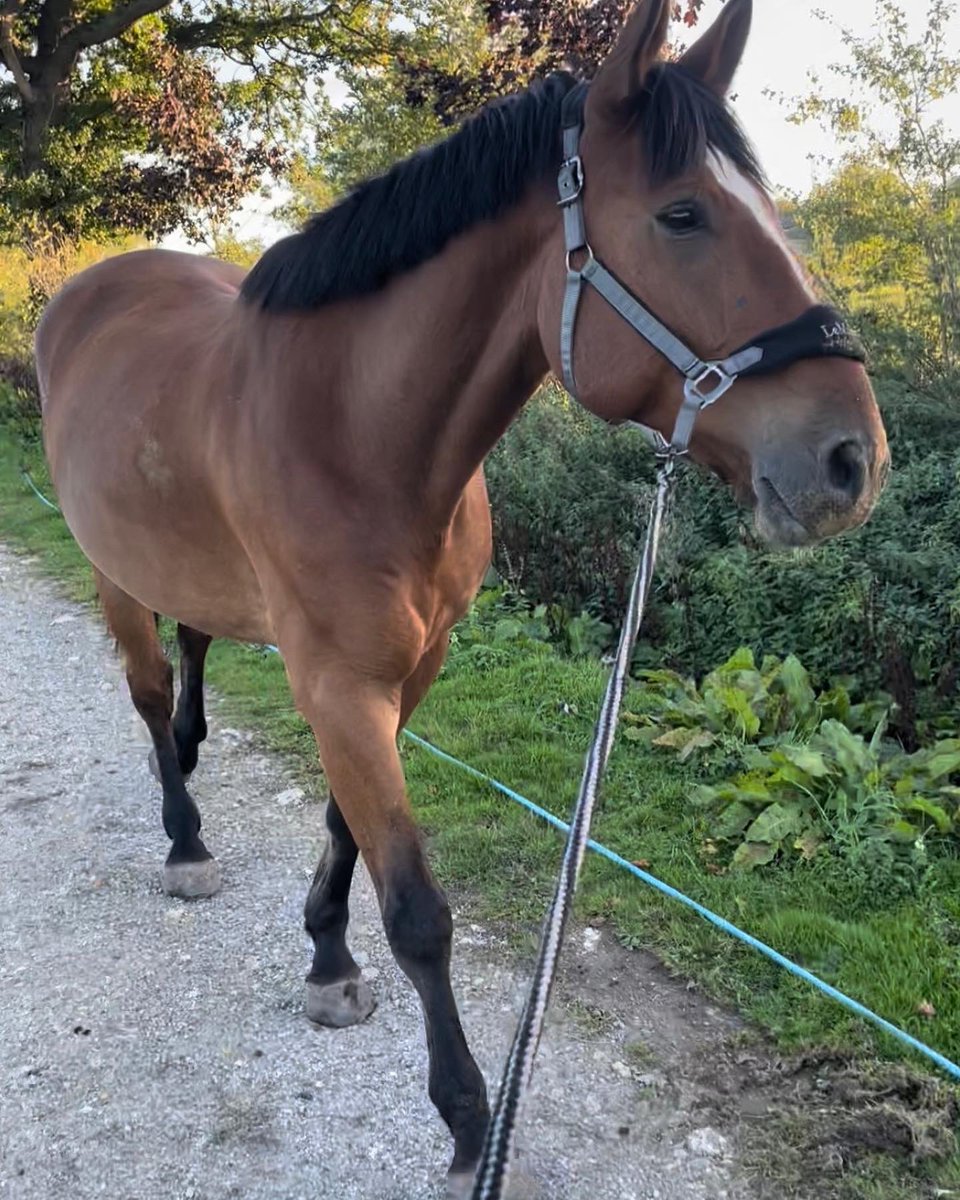 Samantha Coldbeck tweet media