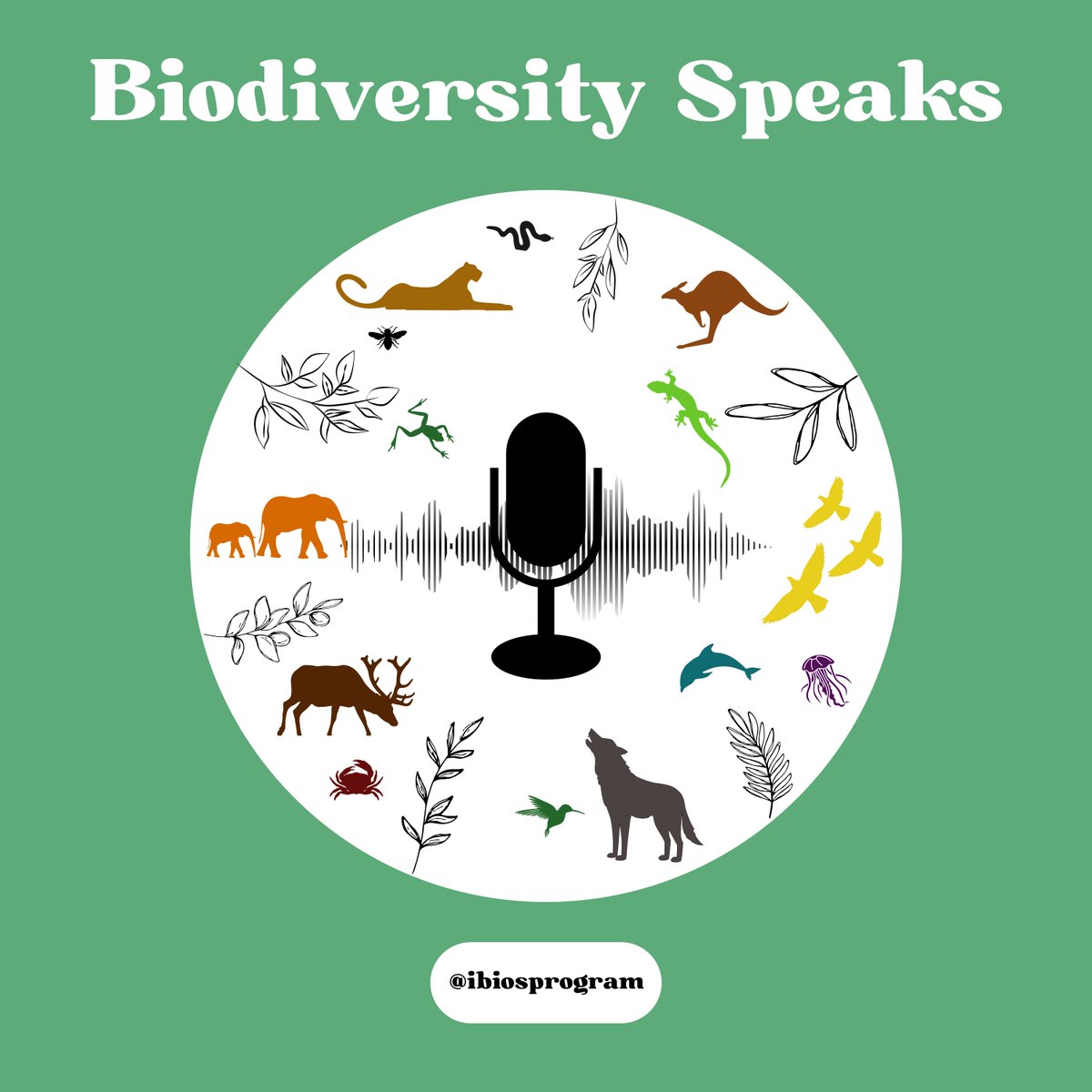Coming soon: Biodiversity Speaks In our upcoming podcast series, our host Dr. @HelinaJolly discusses various biodiversity topics with selected speakers that offer a glimpse into their journey into the world of biodiversity conservation. Stay tuned for more details!