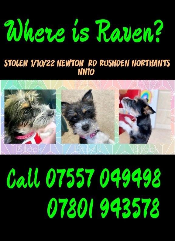 rejannealb's tweet photo. @MissingPetsGB #FindRaven #NN10 https://t.co/QzYRO3EAav
