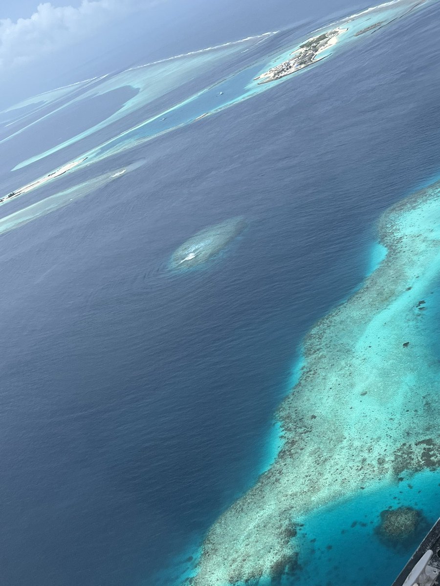 CiriSince1978's tweet photo. E guardo le #Maldive da un #obló …e non mi annoio neanche un po’
#Maldive #Bathala https://t.co/HmwdilwO4f