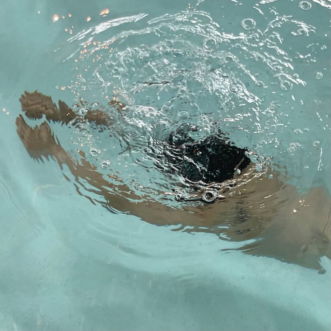 xin_lacey's tweet photo. There are two sides to everything, if you want to enjoy the silence underwater, you have to give up your breath https://t.co/XR9zLY4q5e