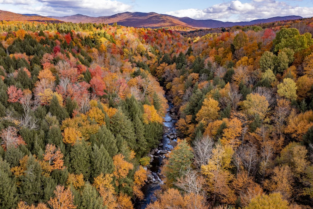 Robert Franklin tweet media