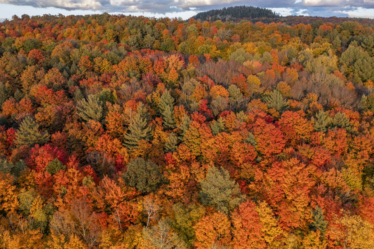 Robert Franklin tweet media