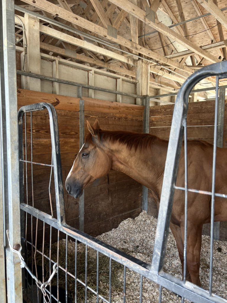 The man, the myth, the legend… WHITMORE!! 😍