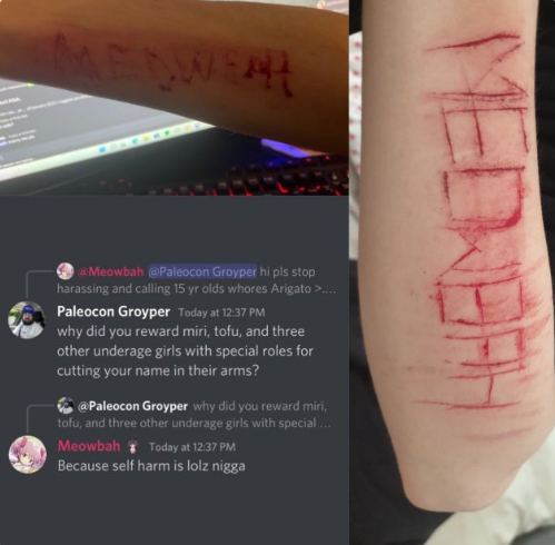 Validations420's tweet photo. bro meowbahh is the worth piece of sh*t coming from our generation. THE ACTUAL HELL IS THIS DAWG 💀 https://t.co/tHnm7NHfBa