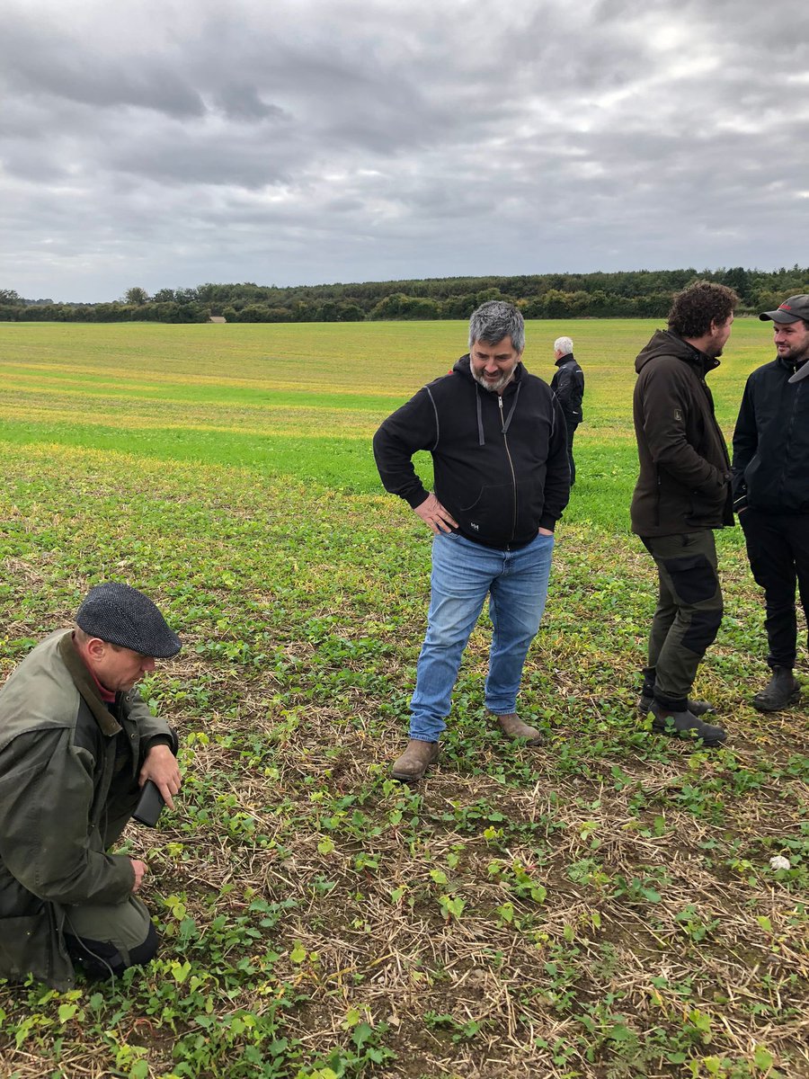 TomTierney18's tweet photo. Busy day today … no-till drilling wheat into mustard &amp; vol OSR.. followed by meeting Danish farmers &amp; then back to the drilling. All drilled up for winter 2023 #notill #duncanag #conservationagriculture #baseIreland @ArableSam @ntsaustralia https://t.co/ojMWqOeUs4