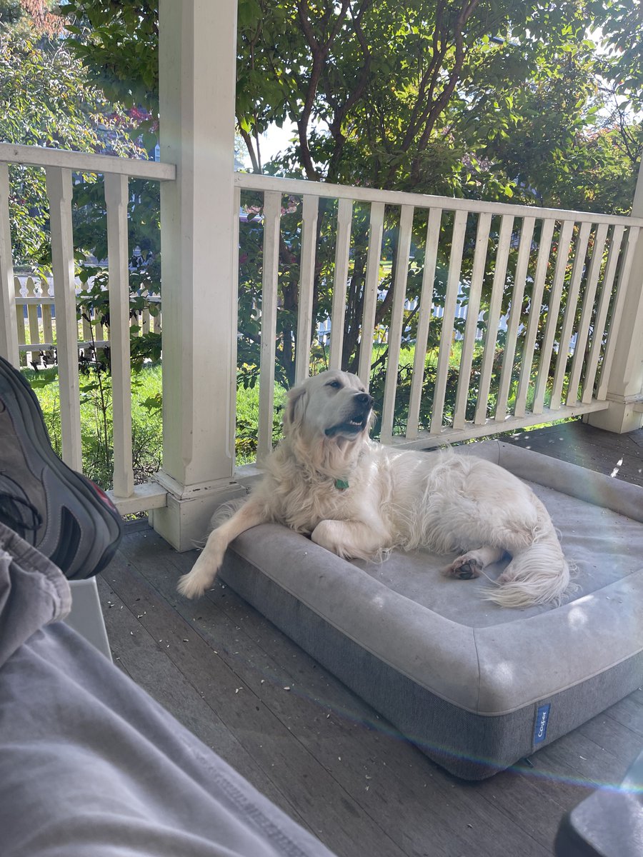 RiverOfNYC's tweet photo. Enjoying a perfect autumn afternoon on my porch https://t.co/pXd9ggfbNw