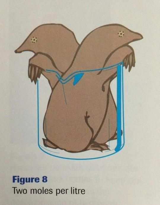 DNA_RNA_Uni's tweet photo. 2 moles per liter 😁😁 https://t.co/OxFm3e5mtw