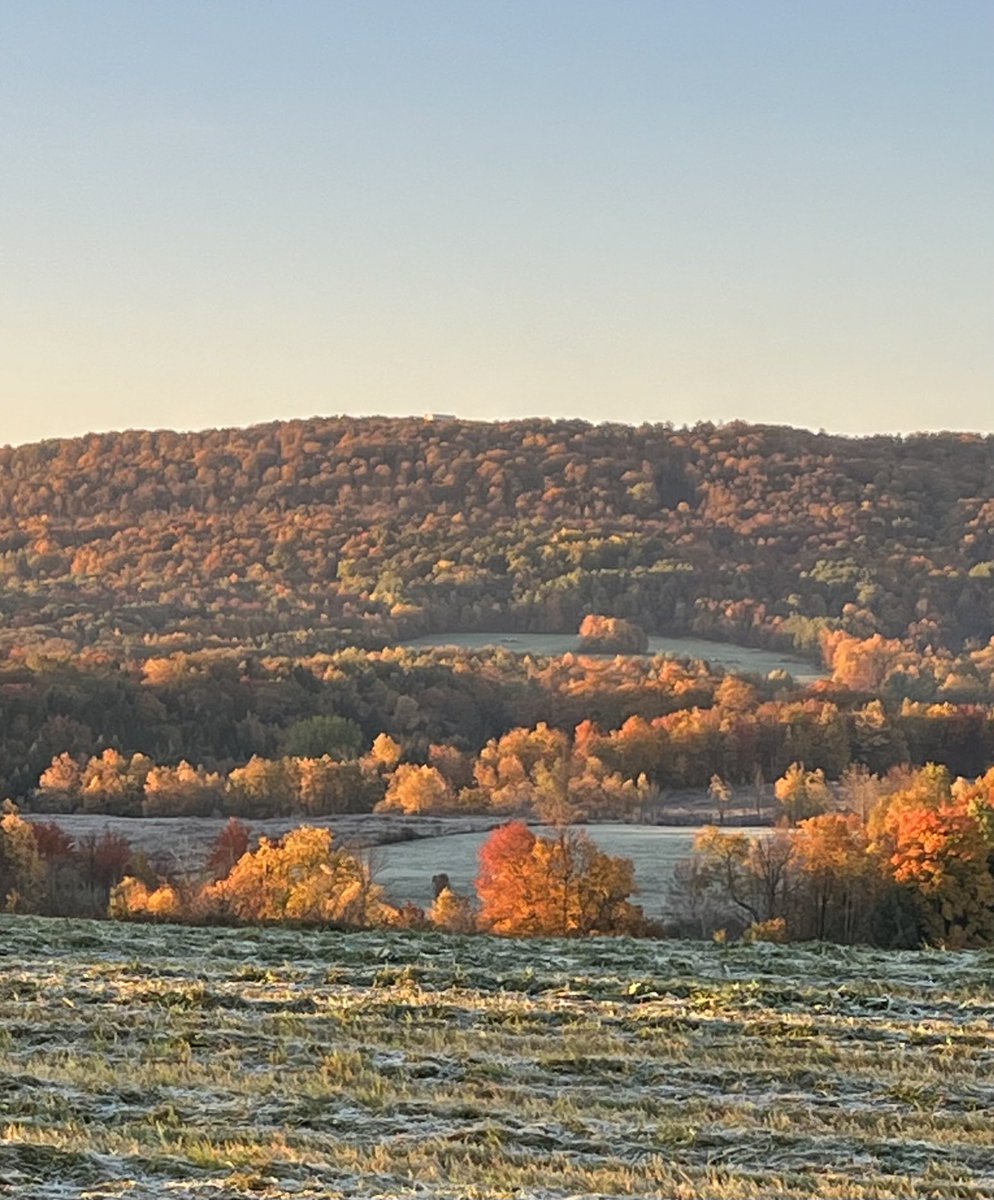 Many of our NY farms are heavily forested, meadow and pasture paths lead to forests. NY is almost 66% under forest cover.