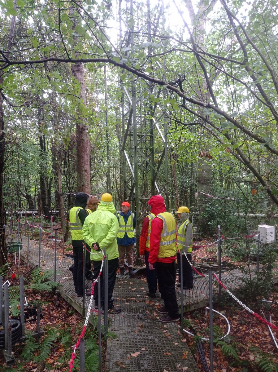 Fascinating visit to @BIFoRUoB FACE experiment site at Norbury Park last week with friends from <a href="/WelshGovernment/">Welsh Government</a> <a href="/smallwoodsuk/">Small Woods</a> <a href="/KevinLindegaard/">Crops 4 Energy</a> (the camera's only just dried out!) #forests #carbon