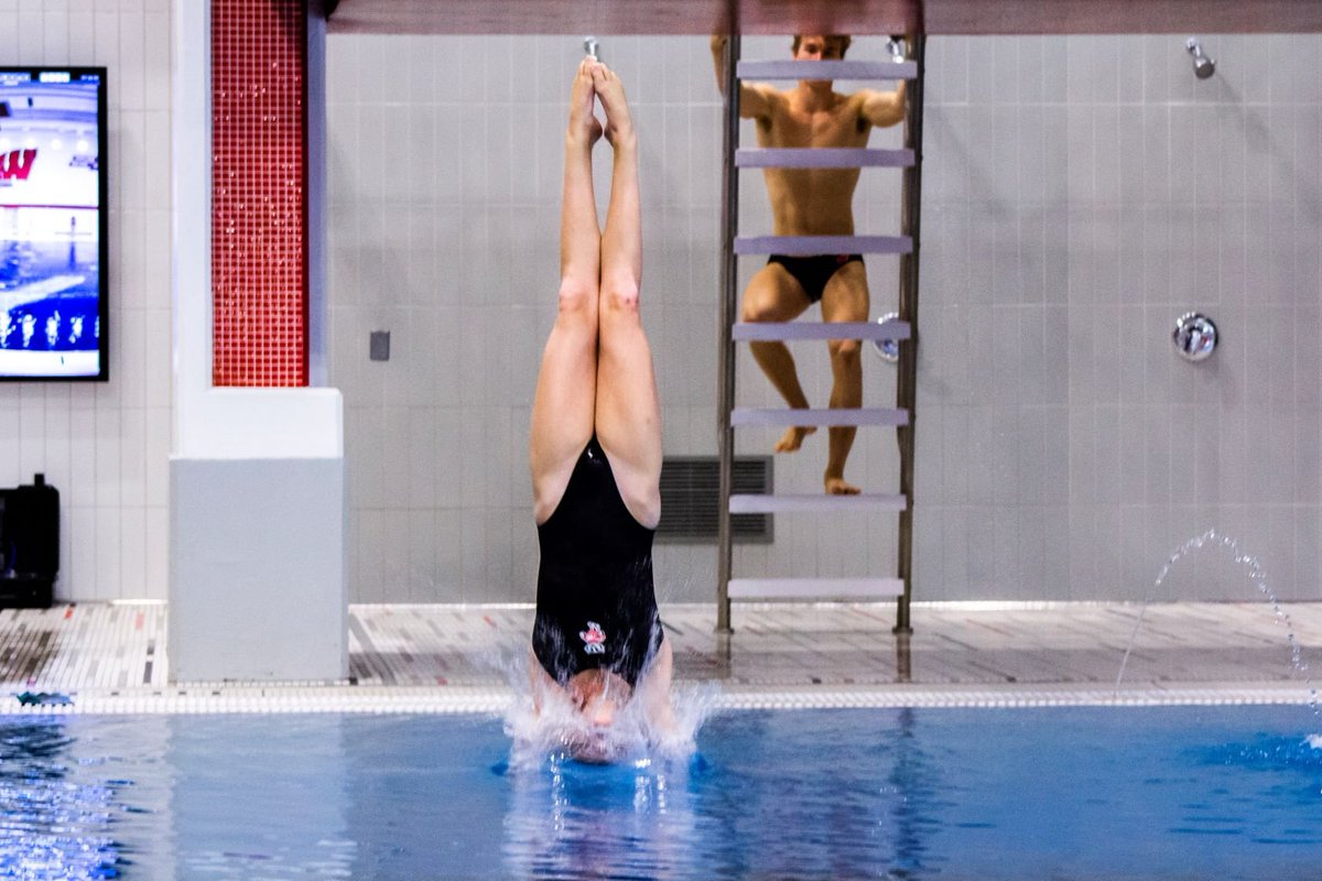 Wisconsin Swimming & Diving tweet media