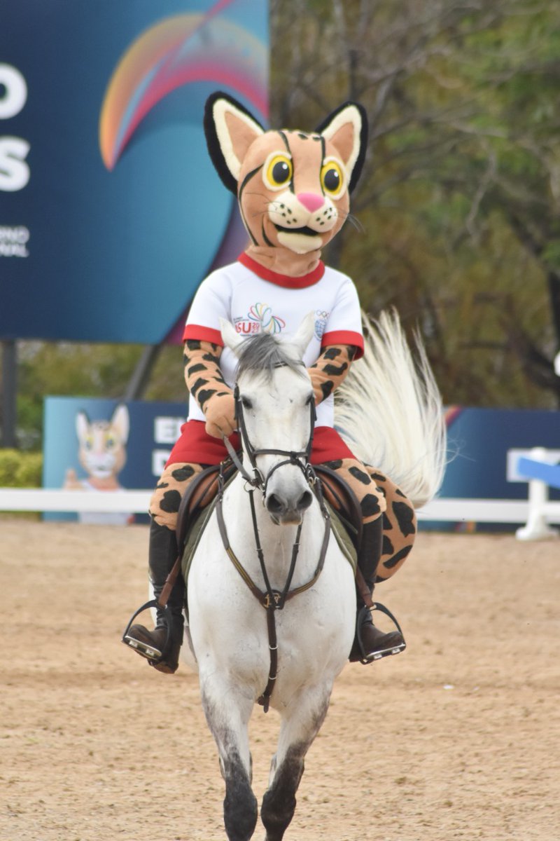 asu2022oficial's tweet photo. Tiríka ecuestre 😼🏇

#TirikaLovers 
#ASU2022 
#ElSueñoDeTodos https://t.co/1Kbm3mlZpa