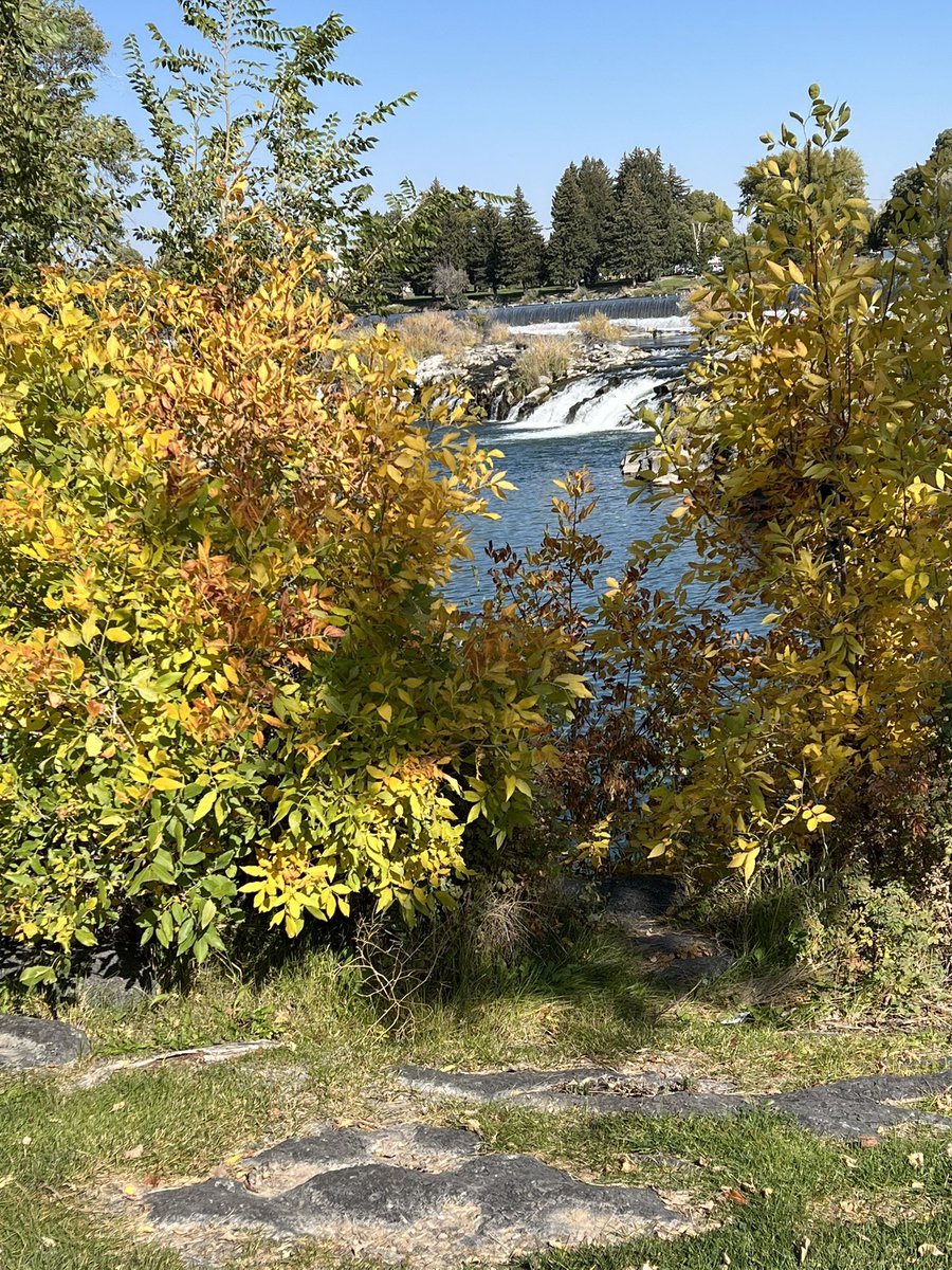 JeffOShields2's tweet photo. The PERFECT time to visit #IdahoFallsRiverwalk! #AutumnVibes #FallBreak2022 #mroshieldsvacation 🍁🍂🍁🍂🍁🍂🍁🍂🍁🍂🍁🍂 https://t.co/DR1ytxQQBt