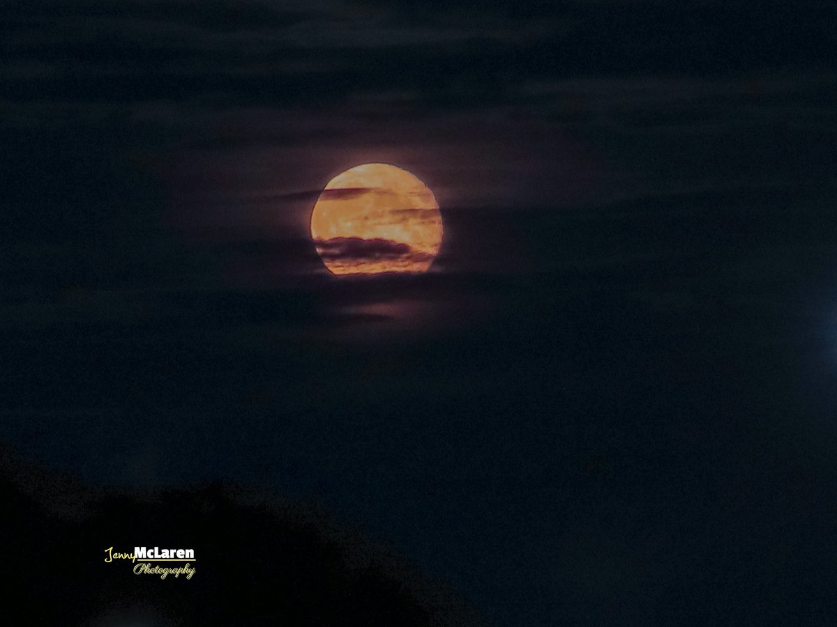 salesjennyrator's tweet photo. Big moon in the city tonight
#huntermoon #nightphotography #amateurphotography #visitaberdeen #Nightsky #original106 #scotland #citynightscape #aberdeen https://t.co/735MKtSrGv