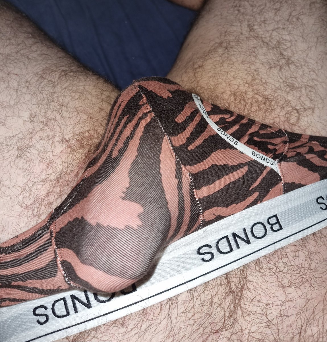 AdelaideUndies's tweet photo. These #BONDS briefs are such a fun print. They made my boner so big it was about to burst through! #adelaide #undies https://t.co/L3yZgnthyE