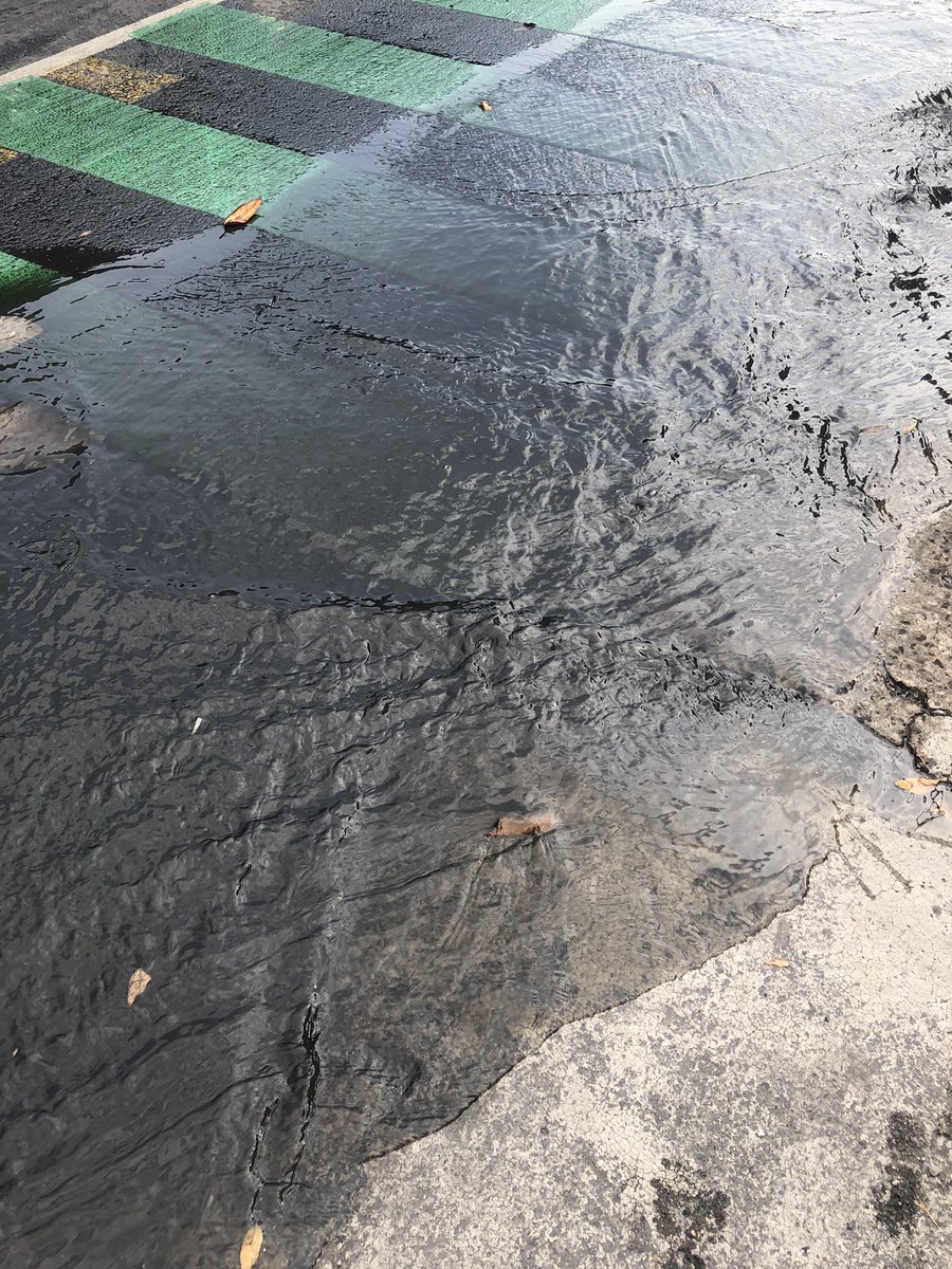 gBuchan's tweet photo. Esto es todos los días. Están vertiendo aguas negras a la vialidad frente a @MetrobusCDMX estación Dr Gálvez. Quién es? #TorreMurano, #TorreAleph o #ConsejodelaJudicatura?
@seduviCDMX @SacmexCDMX https://t.co/SpKb3Ch2bX