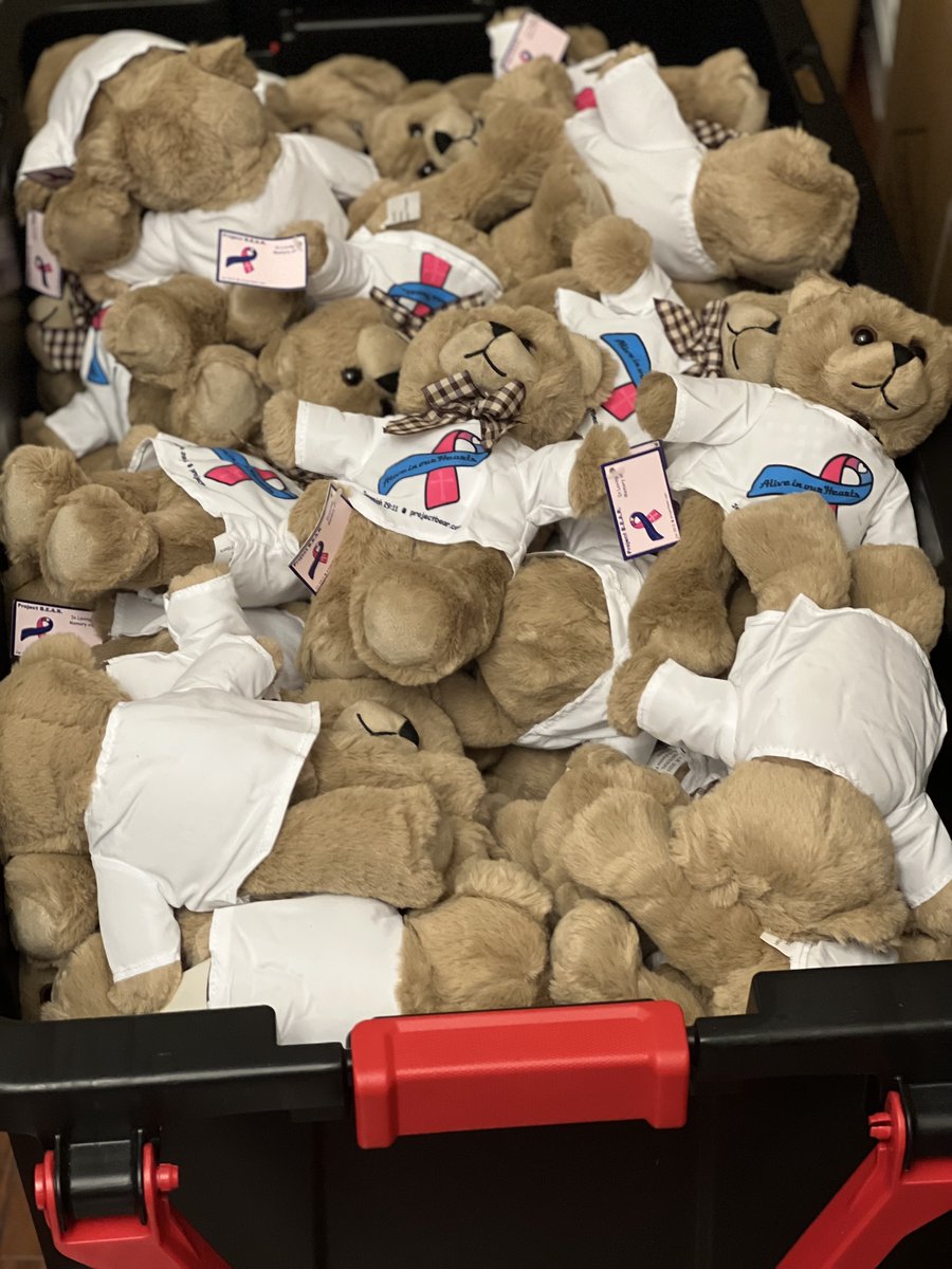 Project BEAR 🧸 tweet media