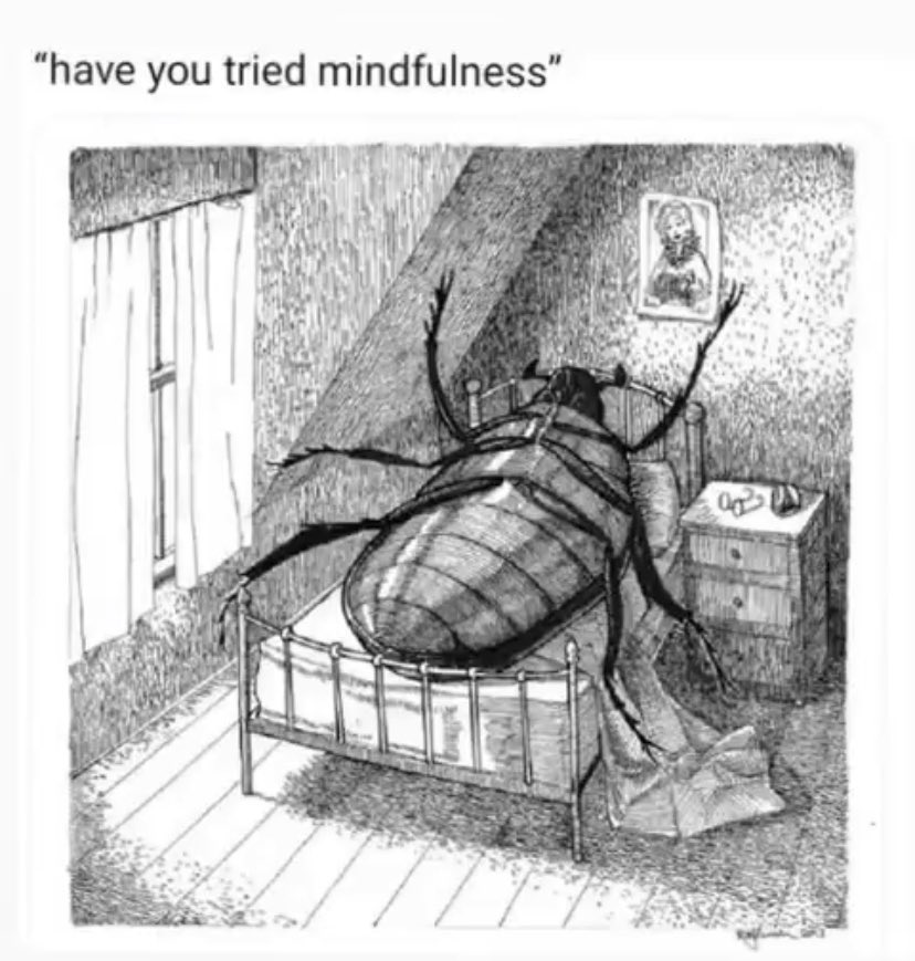 Elon Musk tweet media