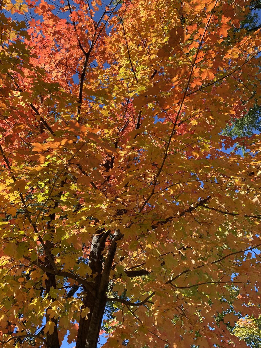 Lighten Up Sounds tweet media