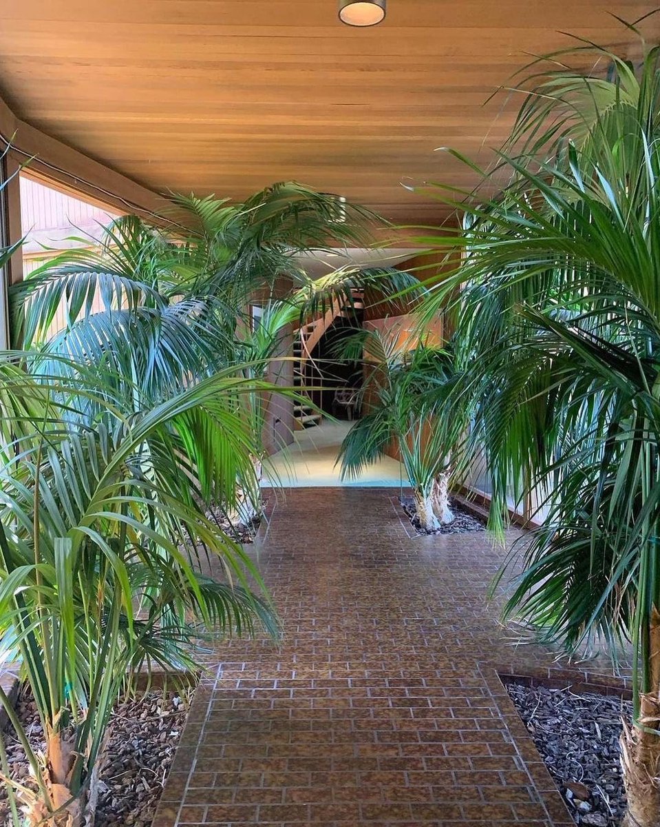 ARCHLABEL's tweet photo. Midcentury modern house in California designed by architect Donald Park. https://t.co/NNSXQrBrGp