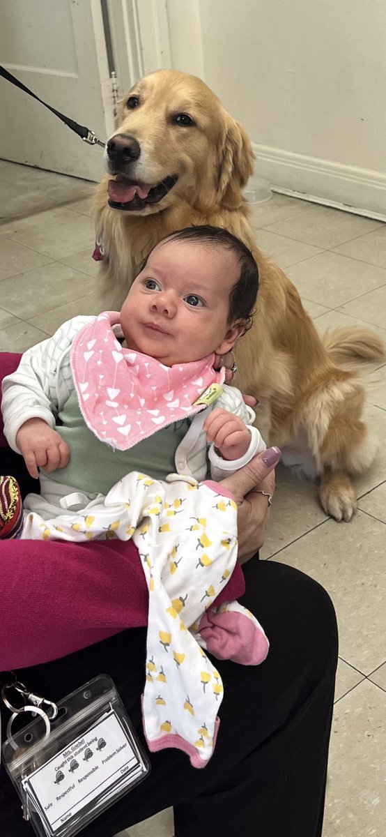 MJ got to meet one of my favorite @LCNNWildcats coworkers today, Kaus the facility dog!