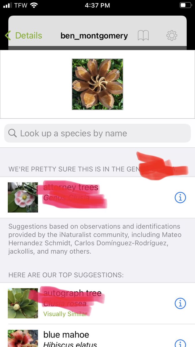 BenR_Montgomery's tweet photo. @kheyduk I dunno but INaturalist does (unpaid promo for pretty great citizen science app!) https://t.co/4R47rnRNsm