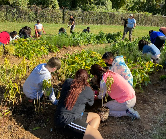 Graham Road ES tweet media