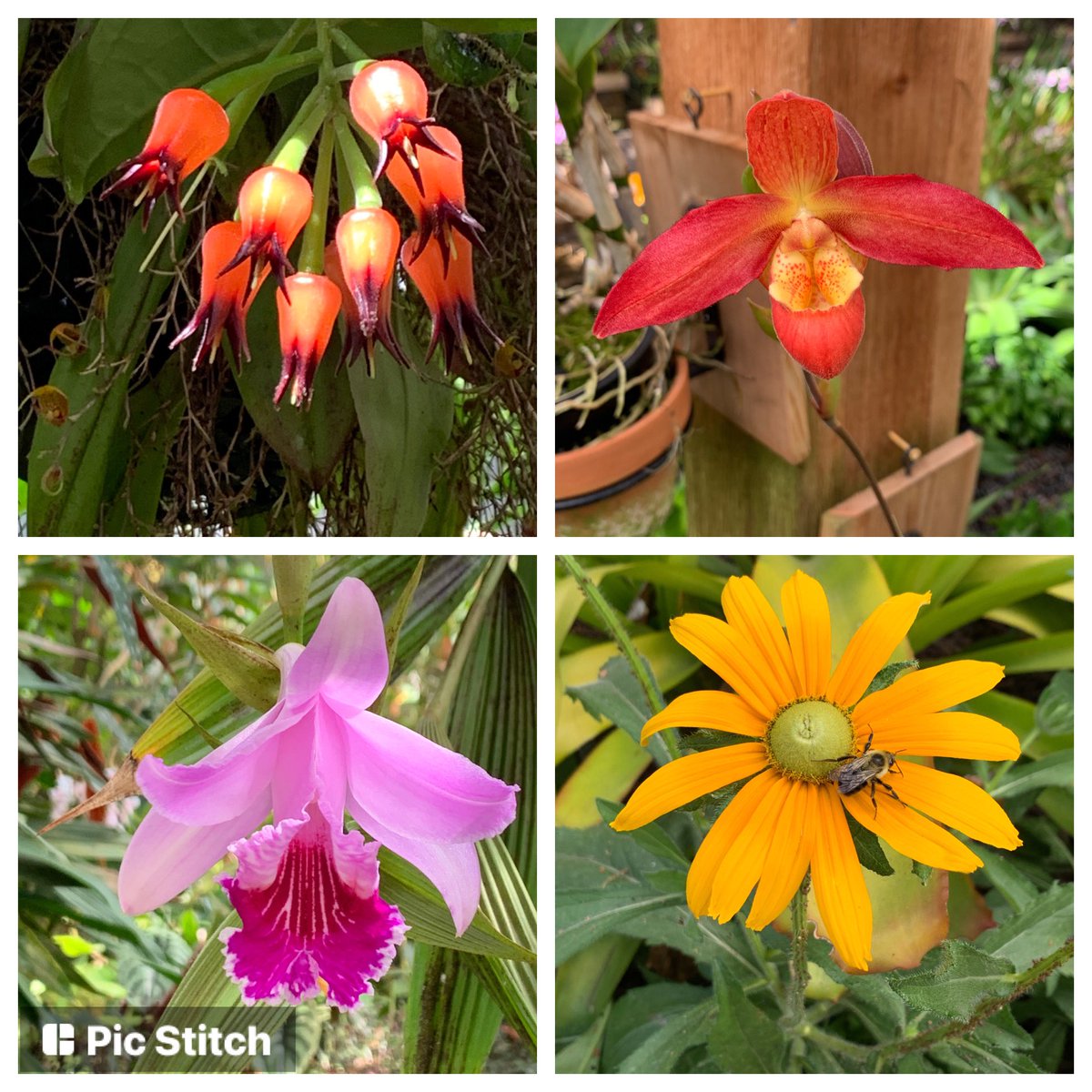 Getting inspiration for my art classroom from a weekend outing . You can get inspiration anywhere and anytime. #cobbartrocks #ArgyleArt #Argyleelem