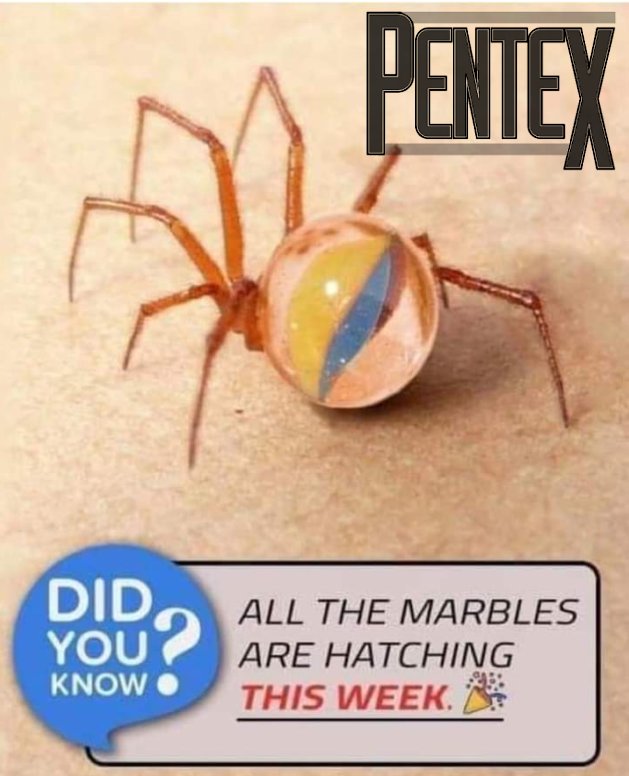 Pentex Incorporated (@pentexinc) on Twitter photo 