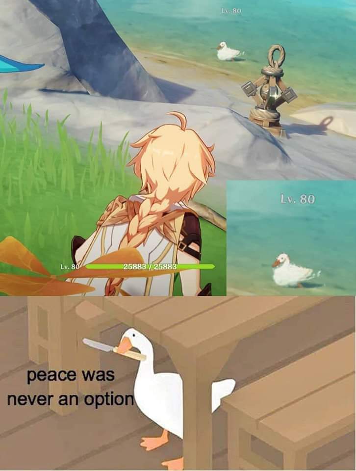 teyvattabloid's tweet photo. Why is the duck level 80 😭

#Genshinlmpact #Genshin #genshinmemes https://t.co/EDGyjgNpL4