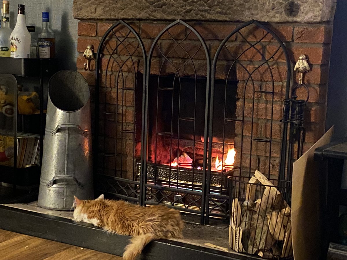 I think he’s trying to cook himself! Safe to say he wasn’t allowed to sit there for long! Silly boy bumble