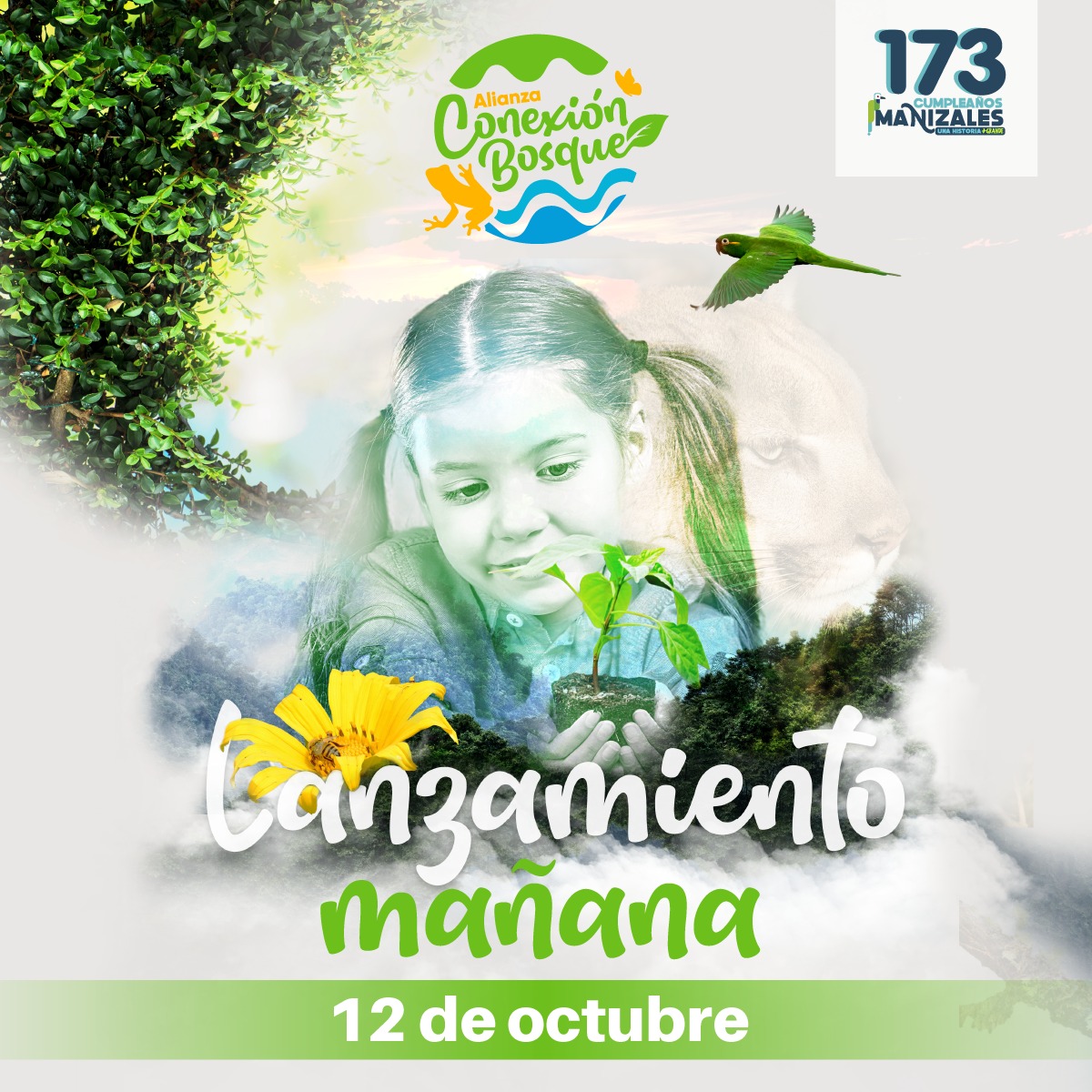 Secretaría de Medio Ambiente tweet media