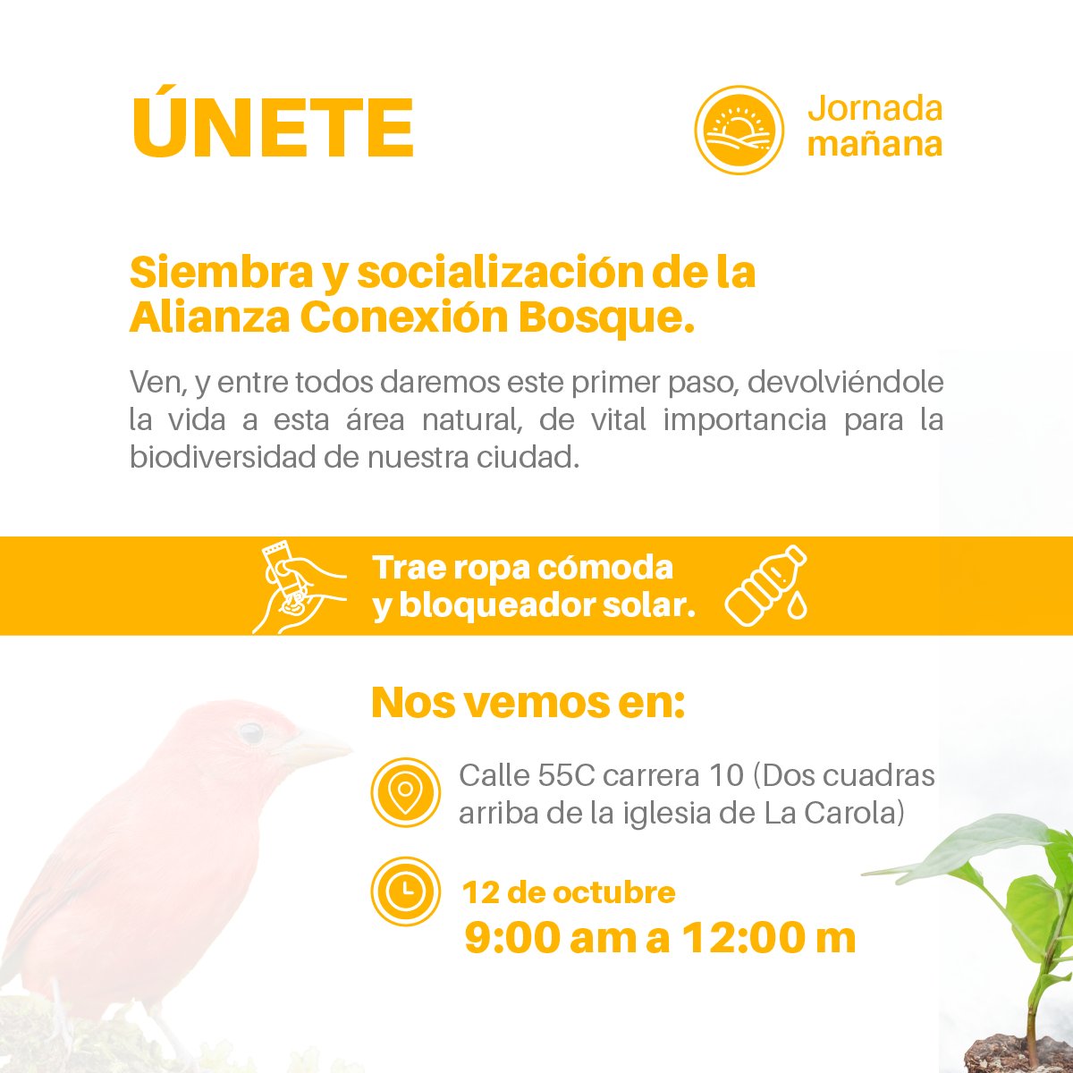 Secretaría de Medio Ambiente tweet media