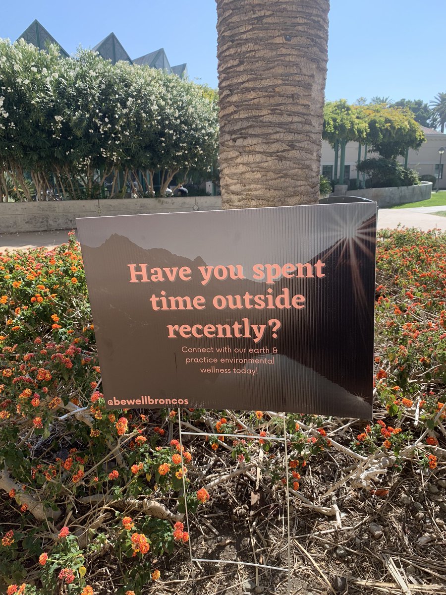 TMAYD_AMAMD's tweet photo. Just had a meeting outside - how are you getting outside?
#TMAYD https://t.co/rdHkKeehq7