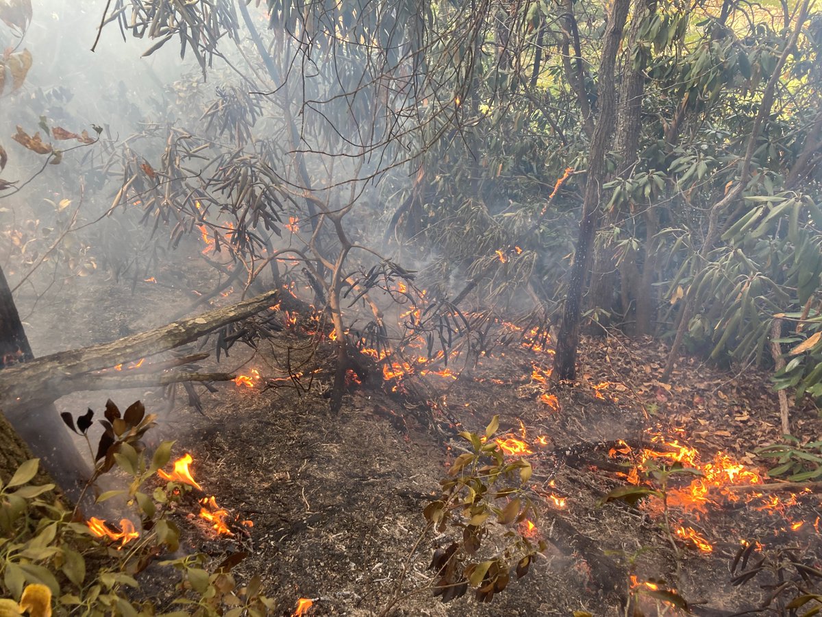 There have been three wildfires in the Red River Gorge thanks to recent warm, dry conditions. We encourage you exercise extreme caution with any open flames &amp; to skip campfires in favor of stargazing until conditions improve. #FireSeason #OnlyYouCanPreventWildfires

📷 Tim Eling