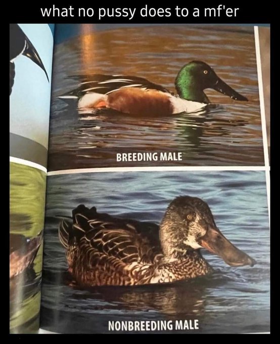 Either makes us or breaks us😂