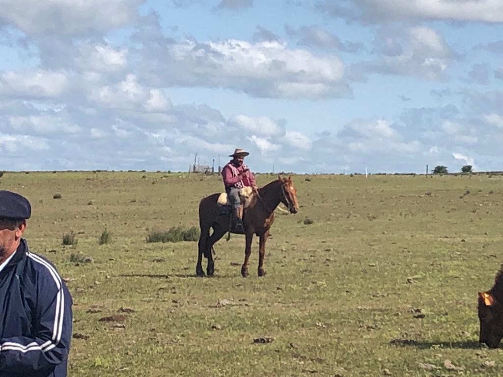 #Hoy en📍Colonia Liber Seregni, Saucedo, Salto.

1er. Taller Público del Proyecto #GestiónDelPasto 
3er. Jornada en Establecimiento Laboratorio Grupo Estación Itapebí

Ing. Duarte #FPTA356 <a href="/INIA_UY/">INIA URUGUAY</a> <a href="/PereiraMachinM/">M. Pereira Machin</a>