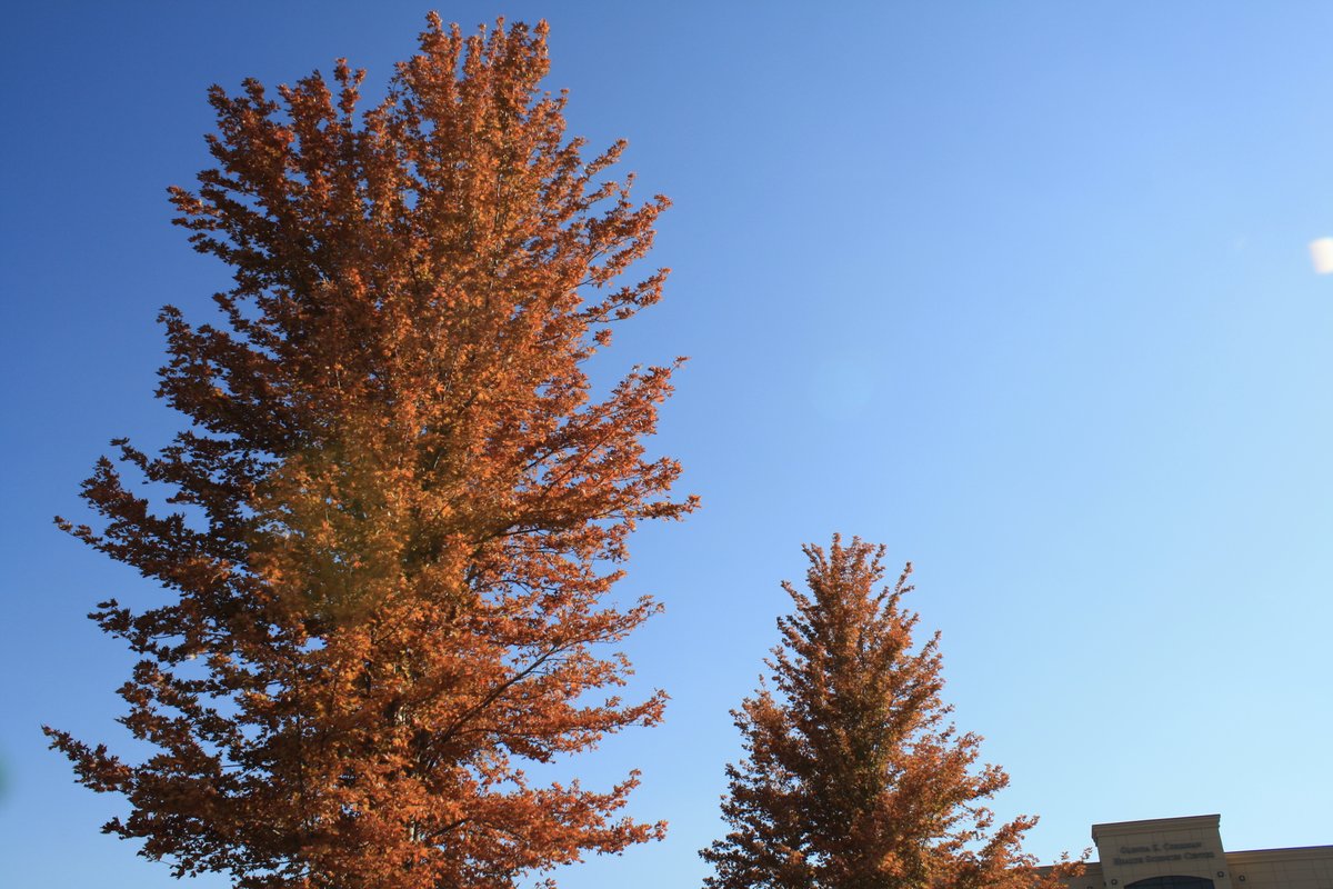Mitchell_SD's tweet photo. Fall is here in #MitchellSD! #HappyFallYall #VisitMitchell #OutsideExpectations https://t.co/gmwjZAsC97